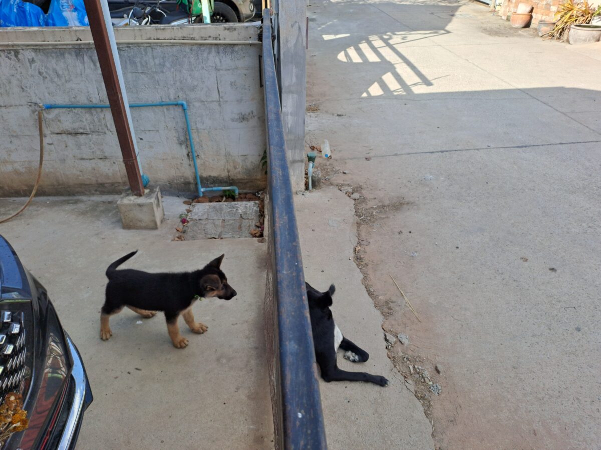 checkin out the new hood in korat